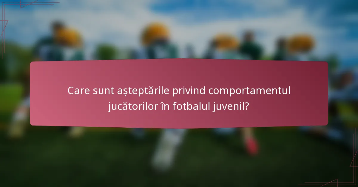 Care sunt așteptările privind comportamentul jucătorilor în fotbalul juvenil?