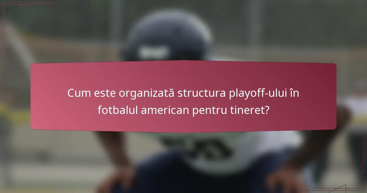 Cum este organizată structura playoff-ului în fotbalul american pentru tineret?